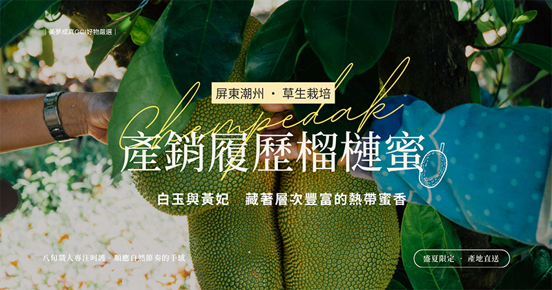 屏東潮州履歷榴槤蜜