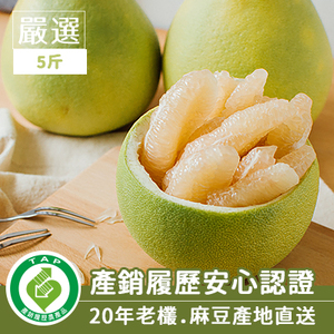 產銷履歷麻豆老欉文旦-嚴選5斤裝(產地直送)