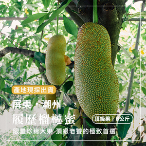 屏東潮州履歷榴槤蜜-頂級果6公斤(產地直送)