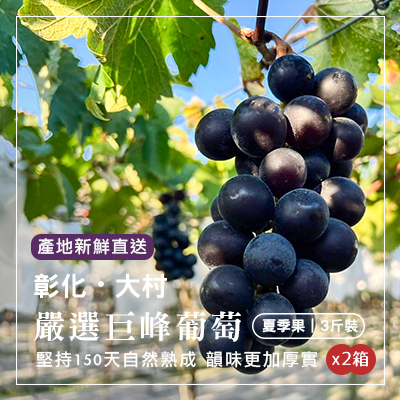 彰化大村嚴選巨峰葡萄-3斤裝禮盒(2箱組)(產地直送)