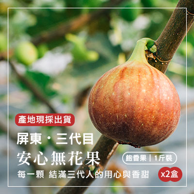 屏東三代目無花果-飽香果1斤/盒-2盒組(產地直送)