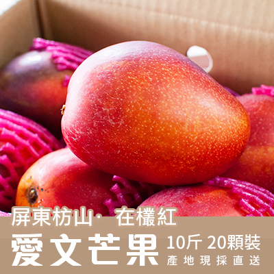 [熟客回購] 自然農法-屏東枋山愛文芒果 10斤/20顆裝