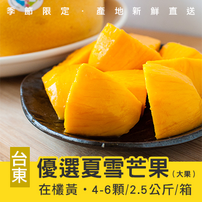 台東嚴選夏雪芒果-2.5公斤/4-6顆