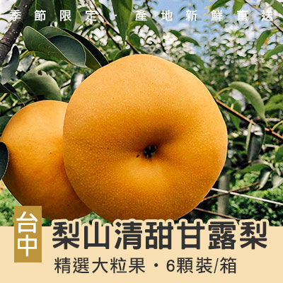 梨山清甜甘露梨-精選大粒果6顆裝(產地直送)