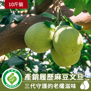 【預購】安心履歷麻豆文旦-10斤裝(產地直送)