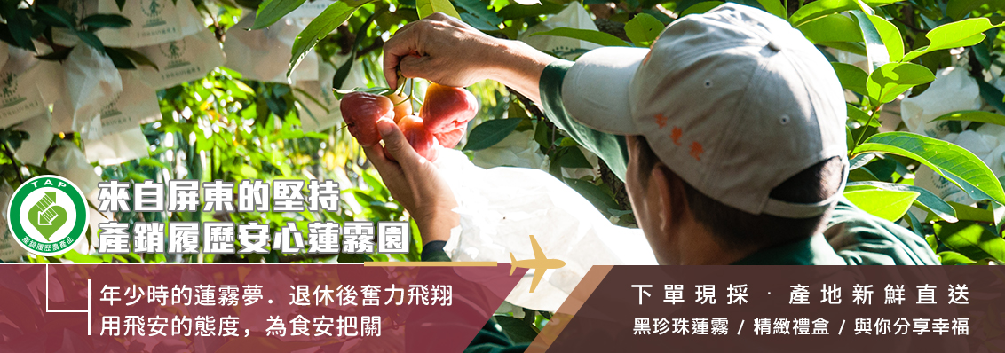 產銷履歷安心蓮霧